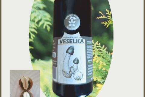 Veselka info flajer